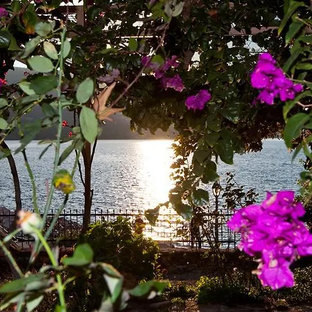 Villa Niki Plataria Esterno foto