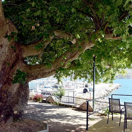 Villa Niki Plataria Esterno foto